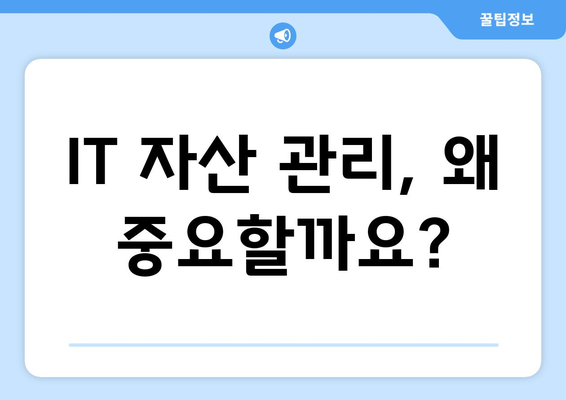 IT 자산 관리의 중요성과 효율적인 전략