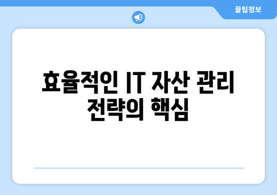 IT 자산 관리의 중요성과 효율적인 전략