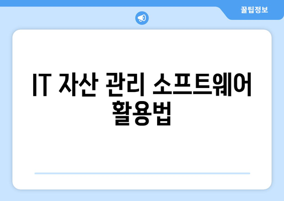 IT 자산 관리의 중요성과 효율적인 전략