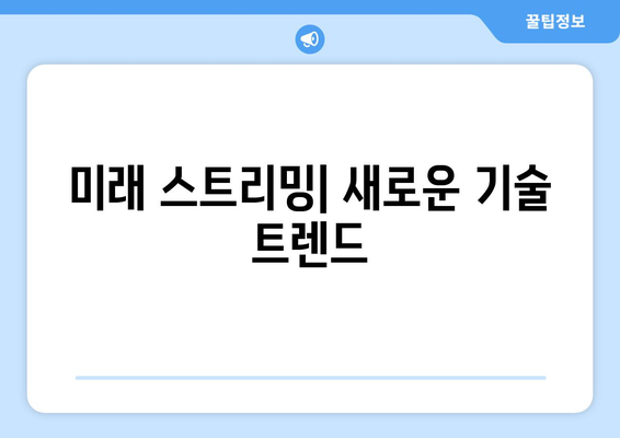 비디오 스트리밍 기술의 원리와 발전 방향